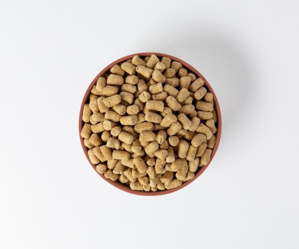 360 Pet Nutrition Freeze-Dried Raw Dog Food – Chicken Recipe with Liver & Organs, High Protein, Omega-3s, Fruits, Veggies & Superfoods, Grain-Free, No Fillers, 5 oz – Made in USA