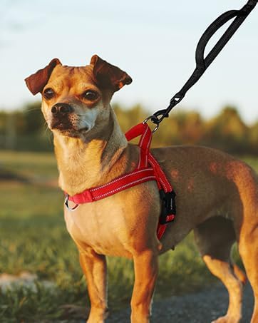 rabbitgoo Dog Harness No Pull, Quick Fit for Small Dogs with Soft Padded Handle, Chest Adjustable Reflective Pet Vest, No Choke Escape Proof for Walking Training, Red M