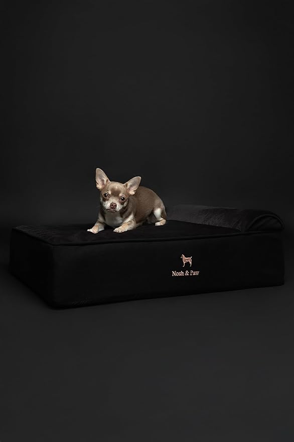 NOAH & PAW Dog Bed, 28x23x7.5 Inch, Orthopedic Dog Beds for Medium Size Pets, Eggshell Memory Foam Infused with Cooling Gel, Waterproof, Machine Washable, Includes Inner Cover (Denim Collection)