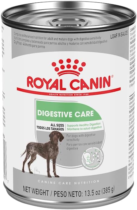 Royal Canin Canine Care Nutrition Digestive Care Adult Loaf in Sauce Dog Food, 13.5 oz (Pack of 12)