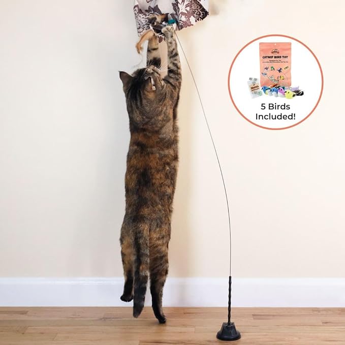 Whiskertons Interactive Bird Simulation Cat Toy Set, Interactive Cat Toys for Indoor Cats, Cat Feather Toy, Self-Holding Suction Base, 5 Catnip Birds, Feathers & Bells (5 Replacement Catnip Birds)