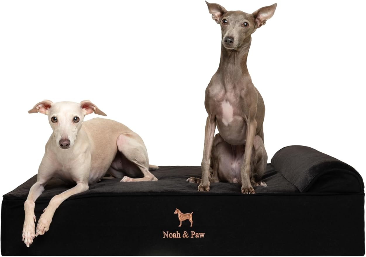 NOAH & PAW Large Dog Bed, 35x25x8.7 Inch, Orthopedic Dog Beds, Eggshell Memory Foam Infused with Cooling Gel, Waterproof, Machine Washable, Includes Inner Cover (Denim Collection)