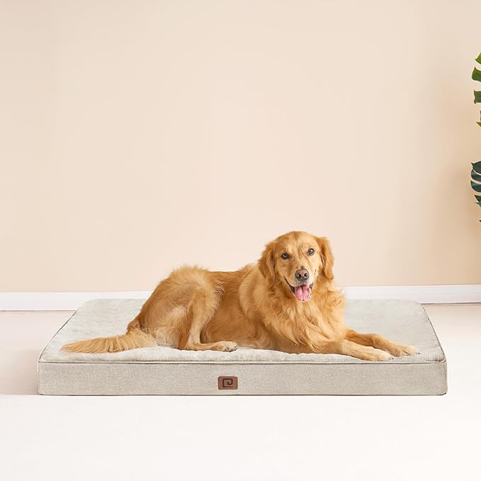 EHEYCIGA Waterproof Dog Bed Memory Foam 41x27, Orthopedic Dog Beds Mat for Extra Large Dogs with Removable Cover, Beige