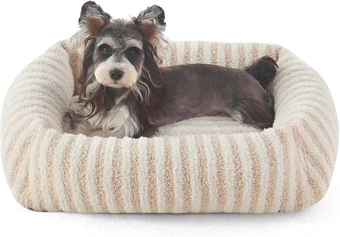 MIXJOY Small Dog Beds for Small Dogs, Washable Dog Bed with Removable Cover, Rectangle Calming Pet Beds, Warming Soft Sleeping Puppy Bed with Non-Slip Bottom, 20"x19"x6", White