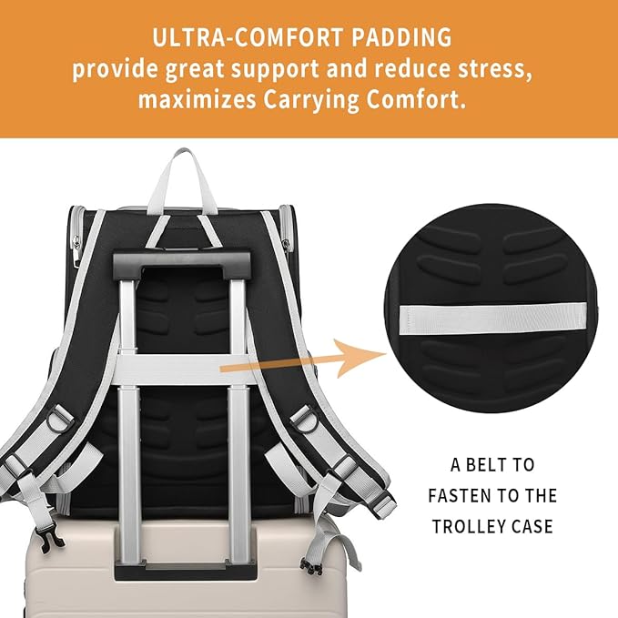 Cat Backpack Carrier Pet Backpack Carrier for Small Dogs and Medium cat Puppy Kitten Bunny up to 15lbs, Cat Carrying Backpack Collapsible with Fully Ventilated Mesh with Safety Leash (Black)