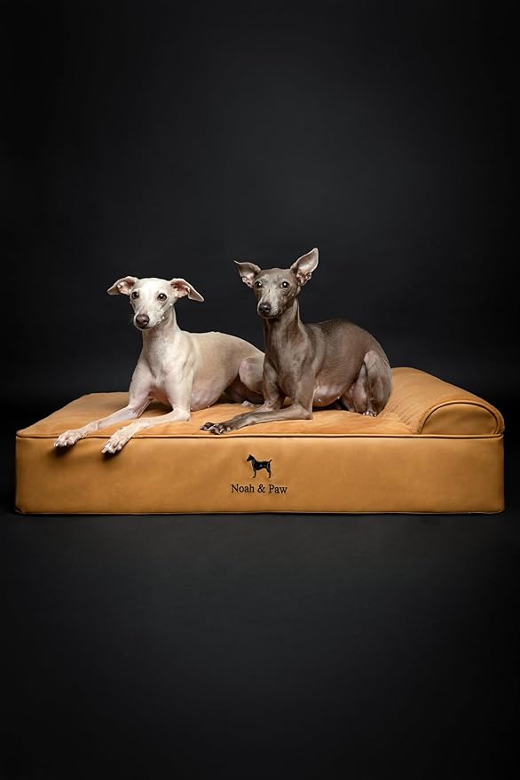NOAH & PAW Large Dog Bed, 35x25x8.7 Inch, Orthopedic Dog Beds, Eggshell Memory Foam Infused with Cooling Gel, Waterproof, Machine Washable, Includes Inner Cover (Faux Leather)