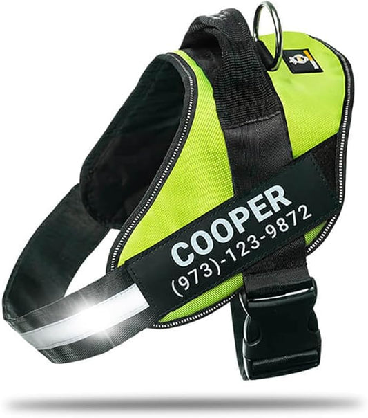 Personalized No-Pull Dog Harness with Name Patch, Adjustable, Reflective, Padded, Heavy Duty Pet Vest to Prevent Tugging, Pulling, or Choking, Training and Walking, Green, L