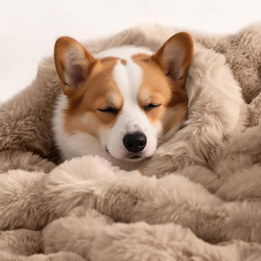 Dog Blanket Ultra Soft Fuzzy Faux Fur Cat Blankets for Indoor Cats Ultra Soft Plush Faux Fur Machine Washable Reversible Pet Throw Protector for Couch Furniture 39"X 30" Coffee