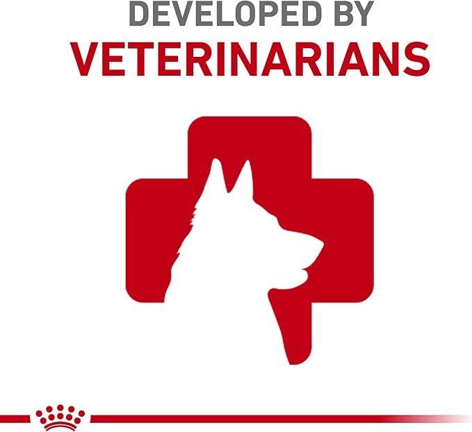 Royal Canin Canine Care Nutrition Digestive Care Adult Loaf in Sauce Dog Food, 13.5 oz (Pack of 12)