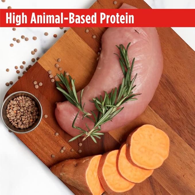 Nulo FreeStyle Limited Ingredient Dog Food, High-Protein Turkey Recipe, Grain-Free Natural Dry Dog Food for Adult Dogs & Puppies with Food Sensitivities, Single Animal Protein, 24 lb Bag