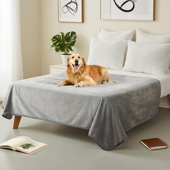 Water Proof Blanket 50x60 Inches - Reversible Flannel Blanket for Bed, Sofa,Couch- Spillproof, Leakproof Soft Double-Sided Light Grey Throw Blanket for Adults, Pets, Couples