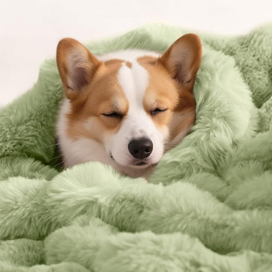 Dog Blanket Ultra Soft Fuzzy Faux Fur Cat Blankets for Indoor Cats Ultra Soft Plush Faux Fur Machine Washable Reversible Pet Throw Protector for Couch Furniture 39"X 30" Green