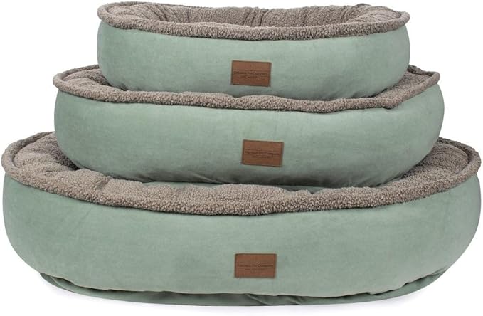 CAROLINA PET COMPANY Microfiber & Tipped Berber Comfy Cup Dog Bed - Sage, M