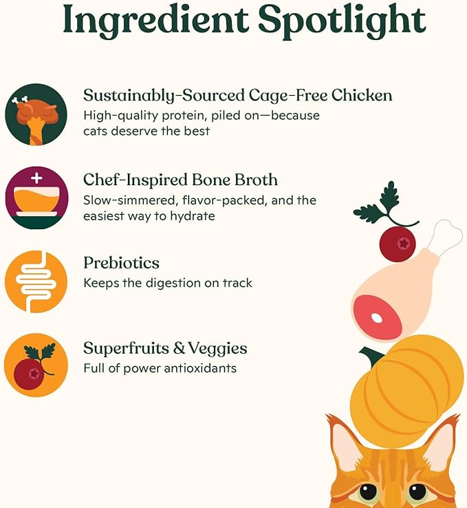 Made by Nacho Dry Cat Kibble 11lb Bag, High Protein and Grain-Friendly Premium Cat Food, Cage-Free Chicken & Pumpkin Recipe, Infused with Bone Broth for Hydration, Limited Ingredients, Single Bag