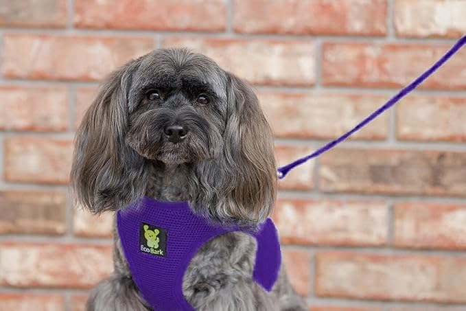 EcoBark Step in Dog Harness - Eco-Friendly Dog Harnesses for for Small & Medium Breed Dogs - Reflective and Adjustable Chest Body Halter Vest -Soft Luxurious Mesh (Purple, XL)