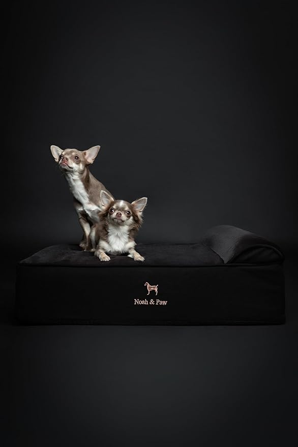 NOAH & PAW Dog Bed, 28x23x7.5 Inch, Orthopedic Dog Beds for Medium Size Pets, Eggshell Memory Foam Infused with Cooling Gel, Waterproof, Machine Washable, Includes Inner Cover (Denim Collection)