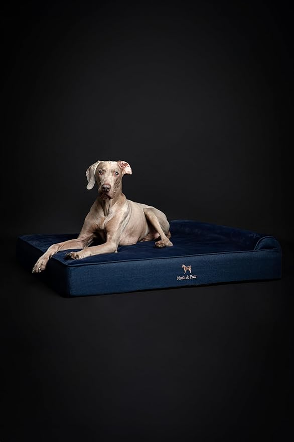 NOAH & PAW XL Dog Bed, 45x35x9.1 Inch, Orthopedic Large Dog Beds, Eggshell Memory Foam Infused with Cooling Gel, Waterproof, Machine Washable, Includes Inner Cover (Denim Collection)