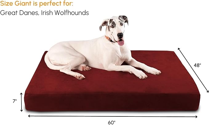 Barker Beds Giant Orthopedic Dog Bed for Large Dogs - 7" Thick Washable XL Mattress with Microsuede Cover - Durable Big Dog Bed - Water-Resistant, Machine Washable - Made in USA (Burgundy)