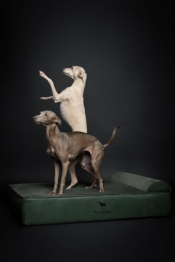 NOAH & PAW Large Dog Bed, 35x25x8.7 Inch, Orthopedic Dog Beds, Eggshell Memory Foam Infused with Cooling Gel, Waterproof, Machine Washable, Includes Inner Cover (Faux Leather)