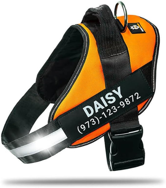 Personalized No-Pull Dog Harness with Name Patch, Adjustable, Reflective, Padded, Heavy Duty Pet Vest to Prevent Tugging, Pulling, or Choking, Training and Walking, Orange, M