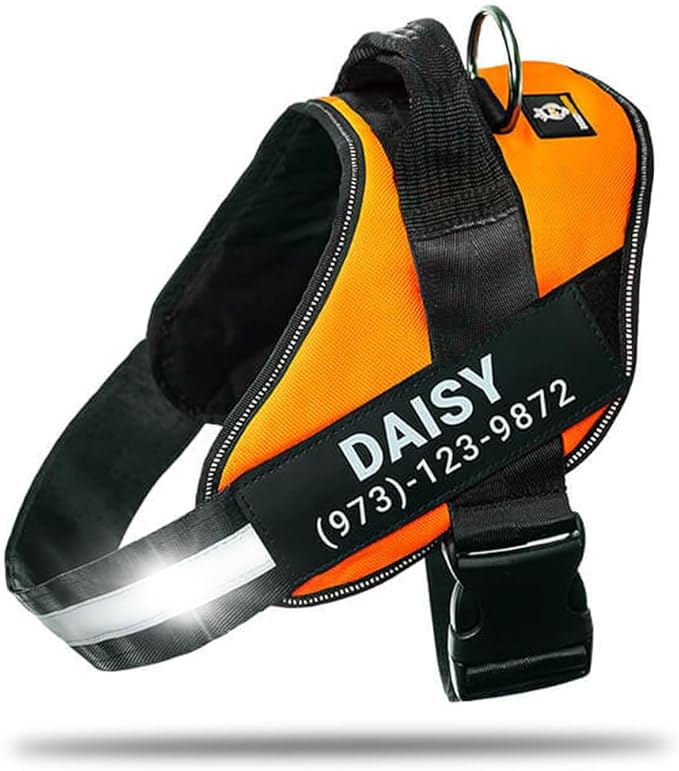 Personalized No-Pull Dog Harness with Name Patch, Adjustable, Reflective, Padded, Heavy Duty Pet Vest to Prevent Tugging, Pulling, or Choking, Training and Walking, Orange, 2XL