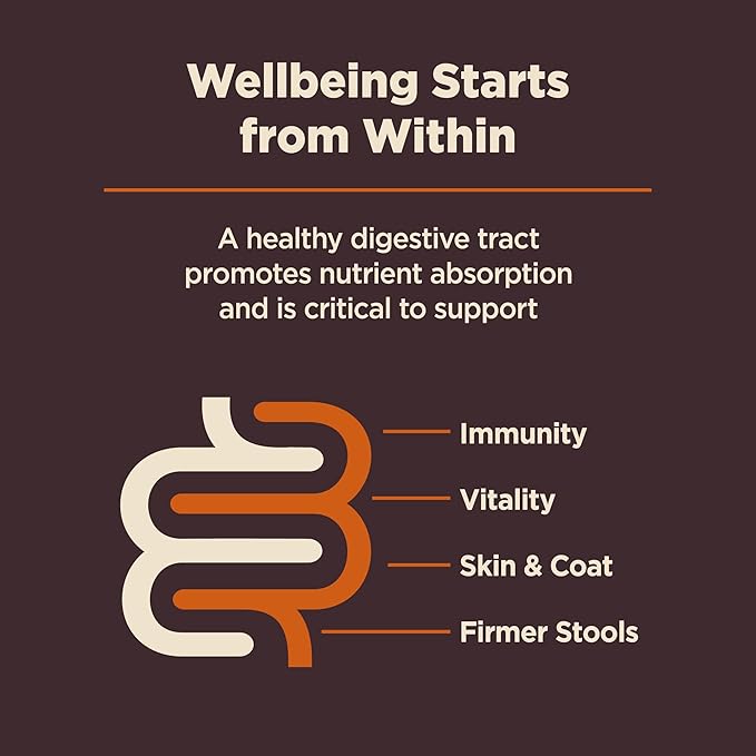 Wellness CORE Digestive Health Dry Dog Food, Wholesome Grains, Natural, Recipe for Dogs with Sensitive Stomachs, Chicken, (4-Pound Bag)