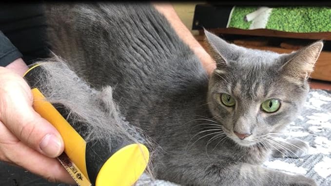 King Kanine Pet Grooming Brush, Self Cleaning Deshedding | Multi-Use Tool for Dogs, Cats & Horses for All Life Stages | Brush Pet for Grooming and Loose Hair | Perfect for Medium & Large Coats