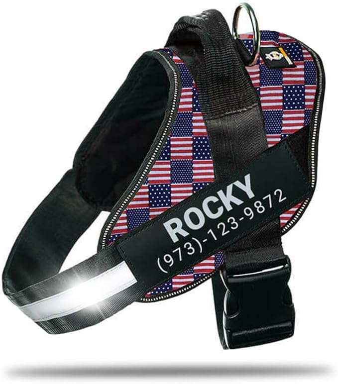 Personalized No-Pull Dog Harness with Name Patch, Adjustable, Reflective, Padded, Heavy Duty Pet Vest to Prevent Tugging, Pulling, or Choking, Training and Walking, US Flag, L