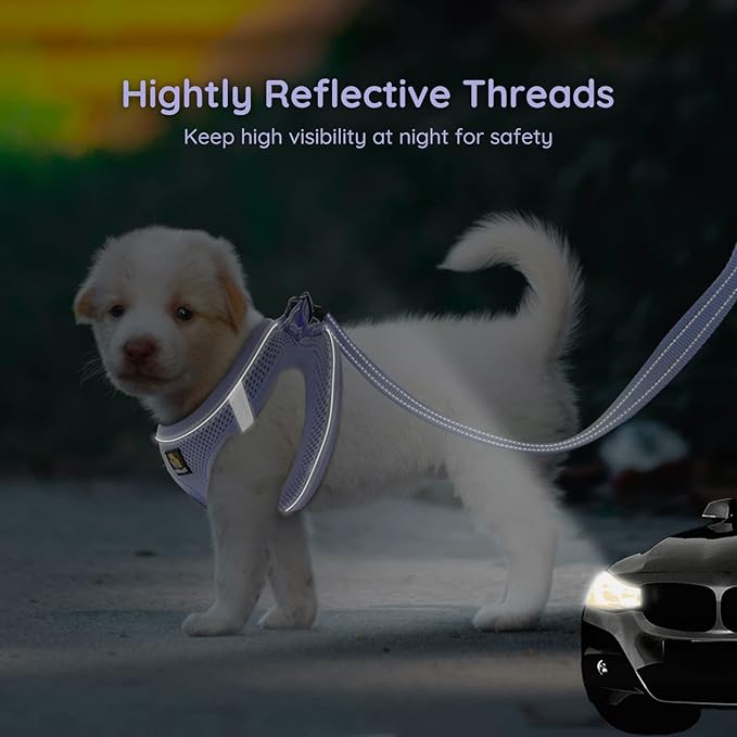 BELLA & PAL Small Dog Harness, Lavender, L, Animal Harness with Leash Set, No Pull, Step in, Reflective, Mesh, for Extra Small Dogs