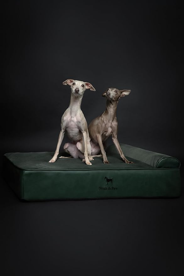 NOAH & PAW Large Dog Bed, 35x25x8.7 Inch, Orthopedic Dog Beds, Eggshell Memory Foam Infused with Cooling Gel, Waterproof, Machine Washable, Includes Inner Cover (Faux Leather)