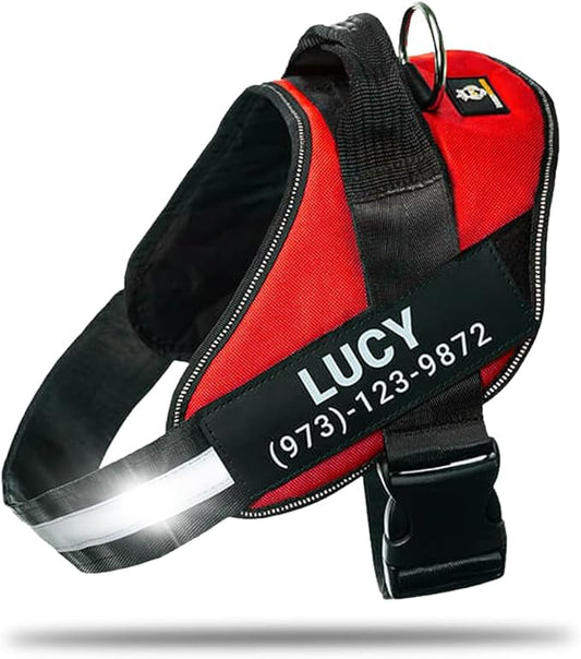 Personalized No-Pull Dog Harness with Name Patch, Adjustable, Reflective, Padded, Heavy Duty Pet Vest to Prevent Tugging, Pulling, or Choking, Training and Walking, Red, XL