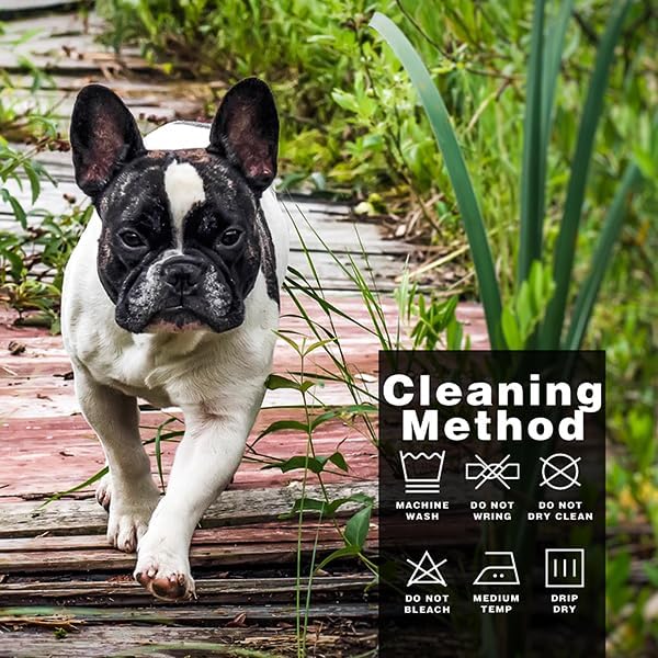 Paiaite Dog Raincoat: Hooded Slicker Poncho, Durable Waterproof Jacket with Reflective Stripes, Convenient Leash Hole, and Adjustable Fit, Perfect for Small, Medium, and Large Dogs Yellow XXL