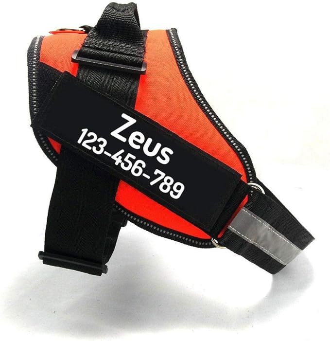 PawPawify Custom No Pull Dog Harness with Name and Phone Number, Heavy Duty Personalized Pet Vest to Prevent Tugging, Pulling, or Choking, Training and Walking (Orange, XS (5-9LBS))