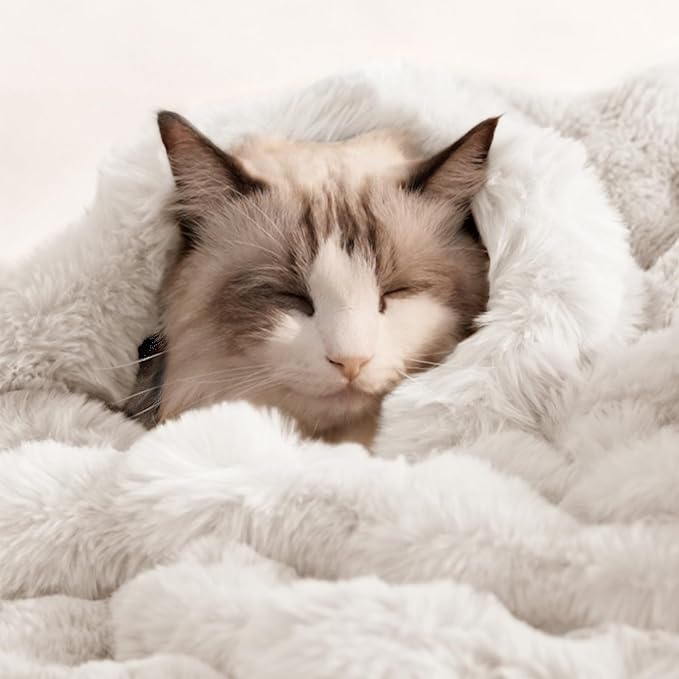 Cat Blanket for Indoor Cats Ultra Soft Plush Faux Fur Kitten Blankets Machine Washable Reversible Pet Throw Protector for Couch Furniture 21"X 18" White