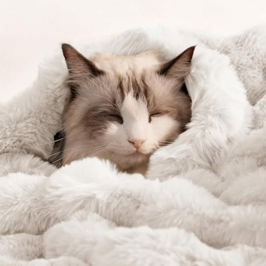 Cat Blanket for Indoor Cats Ultra Soft Plush Faux Fur Kitten Blankets Machine Washable Reversible Pet Throw Protector for Couch Furniture 21"X 18" White