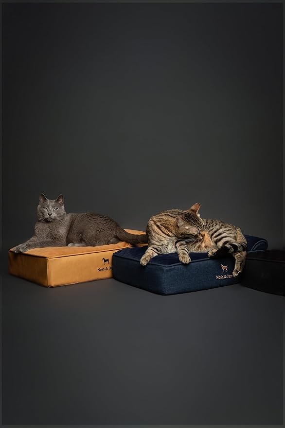 NOAH & PAW Small Dog Bed, 20x15x6.5 Inch, Cat Bed for Indoor Cats, Orthopedic Eggshell Memory Foam Infused with Cooling Gel, Waterproof, Machine Washable, Includes Inner Cover (Denim Collection)