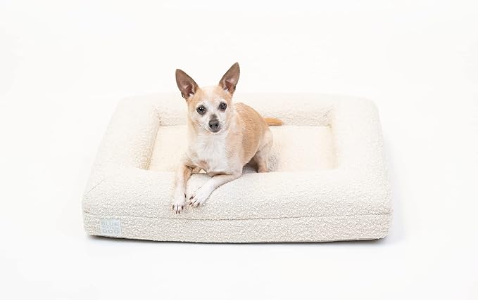 Luxury Boucle Orthopedic Memory Foam Dog Bed with Waterproof Liner and Machine Washable Cover with YKK Zippers (Small, 29" L x 23" W x 6" Th, Cloud)