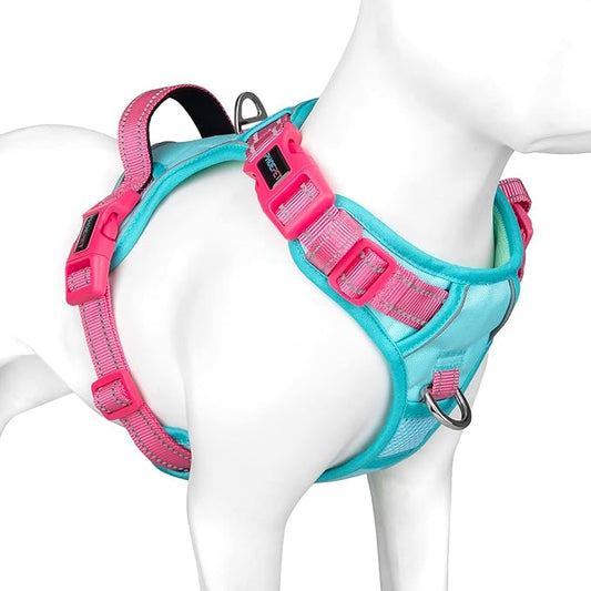 PHOEPET No Pull Dog Harness, Unique Colors Reflective Adjustable Dog Vest, with Soft Training Handle Metal Clips for Small Medium Large Dogs (Mint Green Base & Pink Straps,XS)