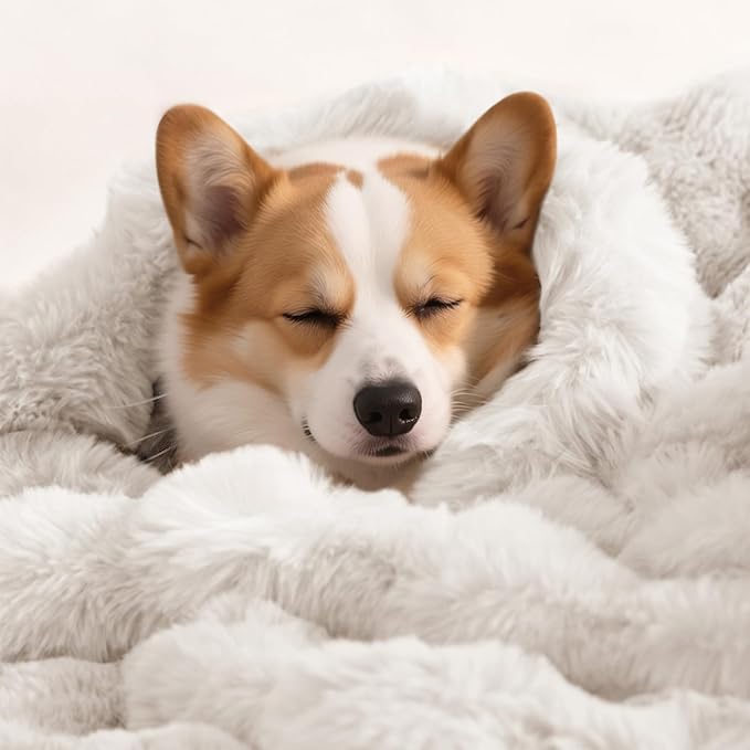 Dog Blanket Ultra Soft Fuzzy Faux Fur Cat Blankets for Indoor Cats Faux Fur Machine Washable Reversible Pet Throw Protector for Couch Furniture 39"X 30" White