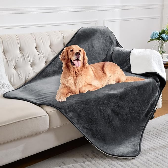 Waterproof Blanket for Bed Couch Sofa, Soft Liquid Pee Proof Pet Blanket for Dog Puppy Cat, Reversible Sherpa Fleece Furniture Protector (Dark Grey, 60x80 inches)