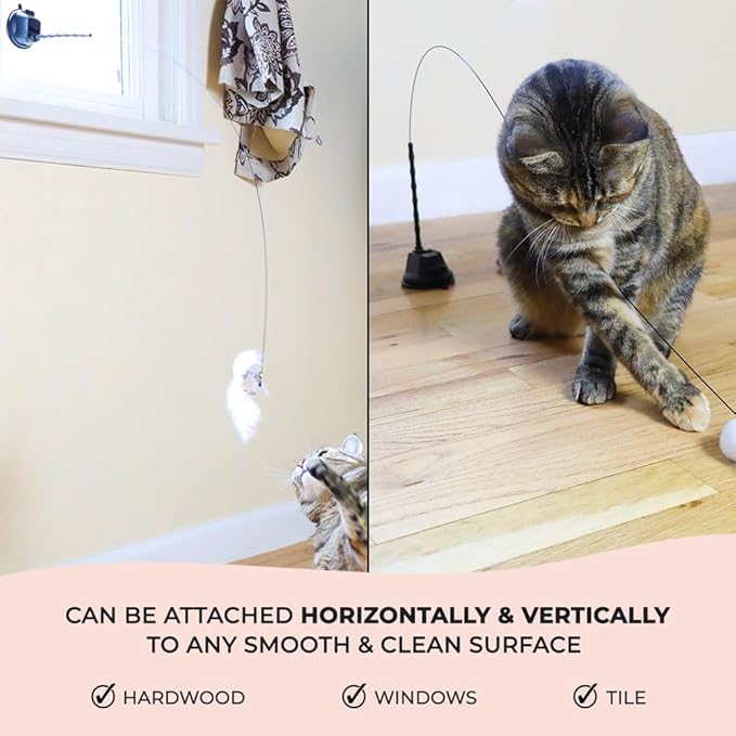 Whiskertons Interactive Bird Simulation Cat Toy Set, Interactive Cat Toys for Indoor Cats, Cat Feather Toy, Self-Holding Suction Cup, 5 Catnip Birds, Feathers, Bells (Catnip Bird Toy Set with 5 Birds)
