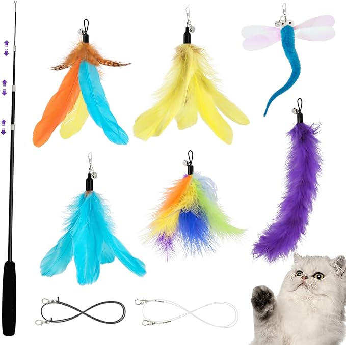 SONGWAY Cat Wand Toys for Indoor Cats - Cat Toy Set with Retractable Teaser Wand and 6 PCS Colorful Feather Toy Refills, Dragonfly Tassel Plush Cat Toys Interactive, Multicolored