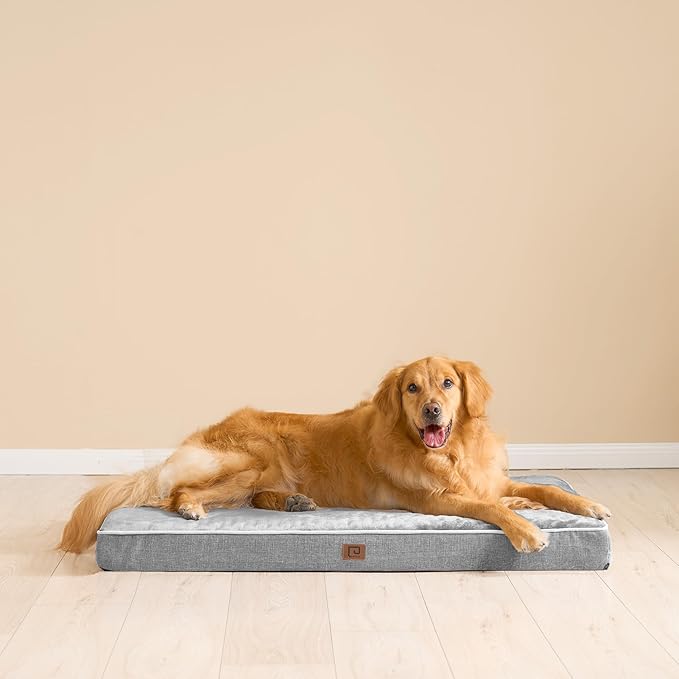 EHEYCIGA Waterproof Dog Bed Memory Foam 41x27, Orthopedic Dog Beds Mat for Gaint Dogs with Removable Cover, Grey