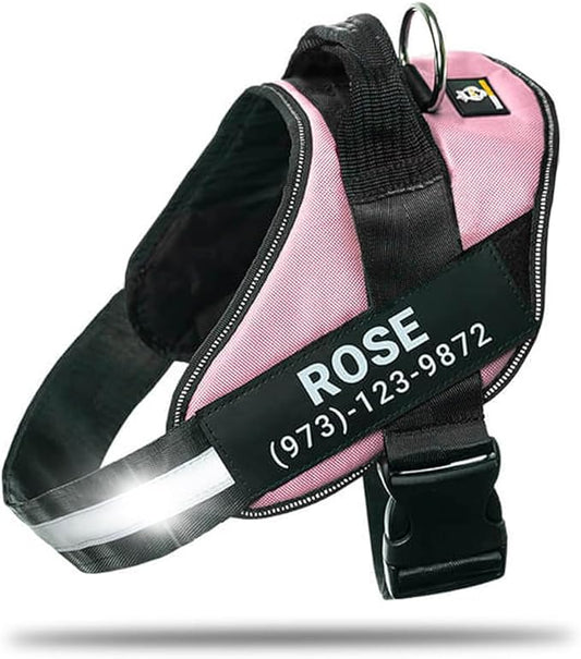 Personalized No-Pull Dog Harness with Name Patch, Adjustable, Reflective, Padded, Heavy Duty Pet Vest to Prevent Tugging, Pulling, or Choking, Training and Walking, Pink, M