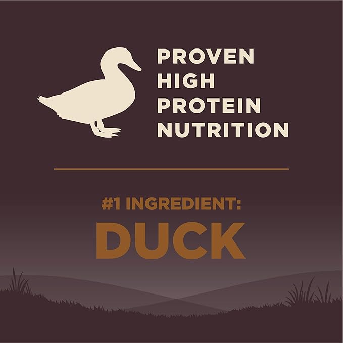 Wellness Natural Pet Food CORE Natural Grain Free Dry Dog Food, Wild Game Duck, Turkey, Boar & Rabbit, 12-Pound Bag