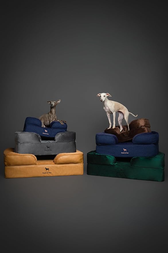 NOAH & PAW Dog Bed, 28x23x11 Inch, Orthopedic Dog Beds for Medium Size Pets, Eggshell Memory Foam Infused with Cooling Gel, Inner Cover, Waterproof, Machine Washable (Velvet Sofa Collection)