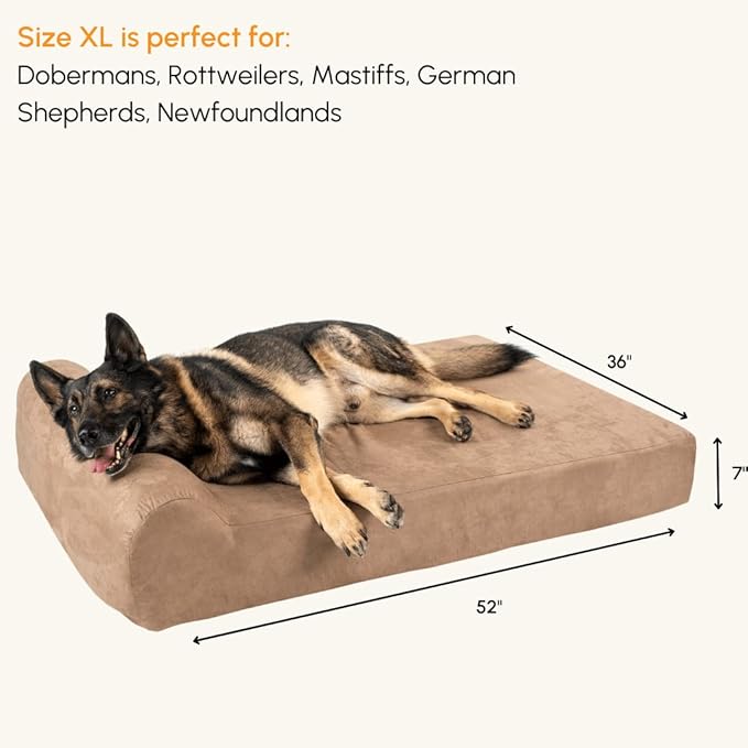 Barker Beds Orthopedic Dog Bed - 7" Pillow Top XL Size (52 x 36 x 11) - Luxury Washable Large Dog Bed with Headrest - Memory Foam Mattress for Big Dogs (Khaki)