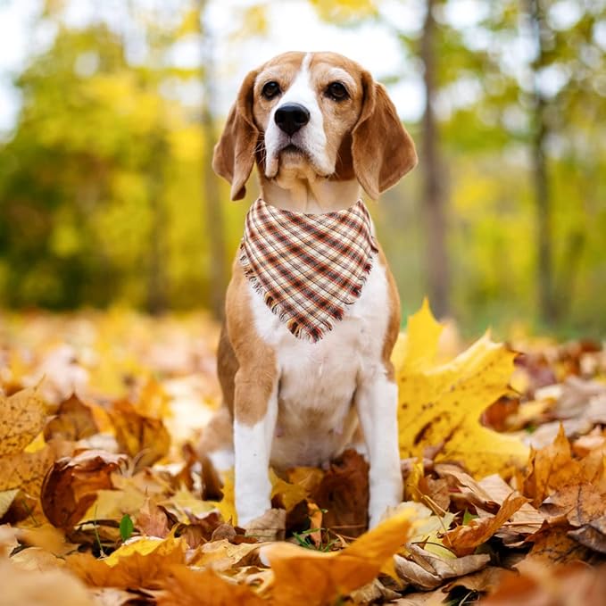 Kytely Thanksgiving Fall Dog Bandanas 2 Pack, Autumn Dog Bandana Large, Orange Plaid Pet Scarf for Boy and Girl, Holiday Halloween Reversible Triangle Bibs Accessories for Dogs Pets