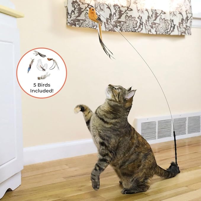 Whiskertons Interactive Bird Simulation Cat Toy Set, Interactive Cat Toys for Indoor Cats, Cat Feather Toy, Self-Holding Suction Base, 5 Replacement Birds, Feathers & Bells, Realistic Bird Impression