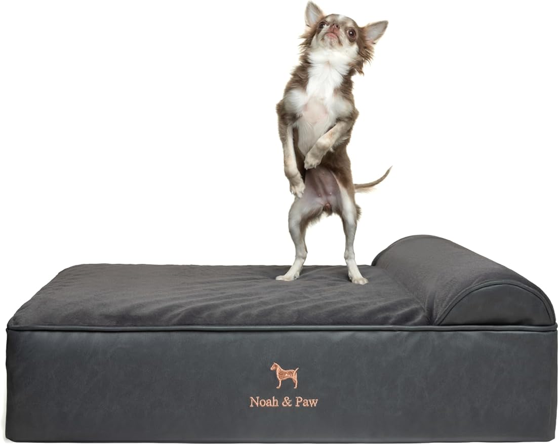 NOAH & PAW Dog Bed, 28x23x7.5 Inch, Orthopedic Dog Beds for Medium Size Pets, Eggshell Memory Foam Infused with Cooling Gel, Waterproof, Machine Washable, Includes Inner Cover (Faux Leather)
